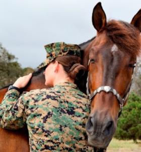 Equestrian Therapy Image 13