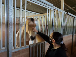 Equestrian Therapy Image 3