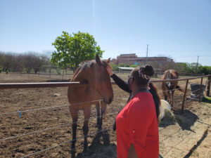 Equestrian Therapy Image 8